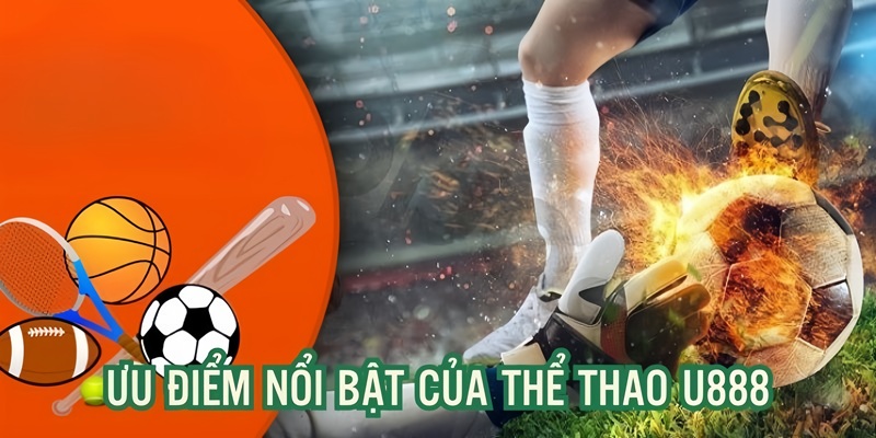 Ưu điểm thu hút người tham gia của sảnh cược 